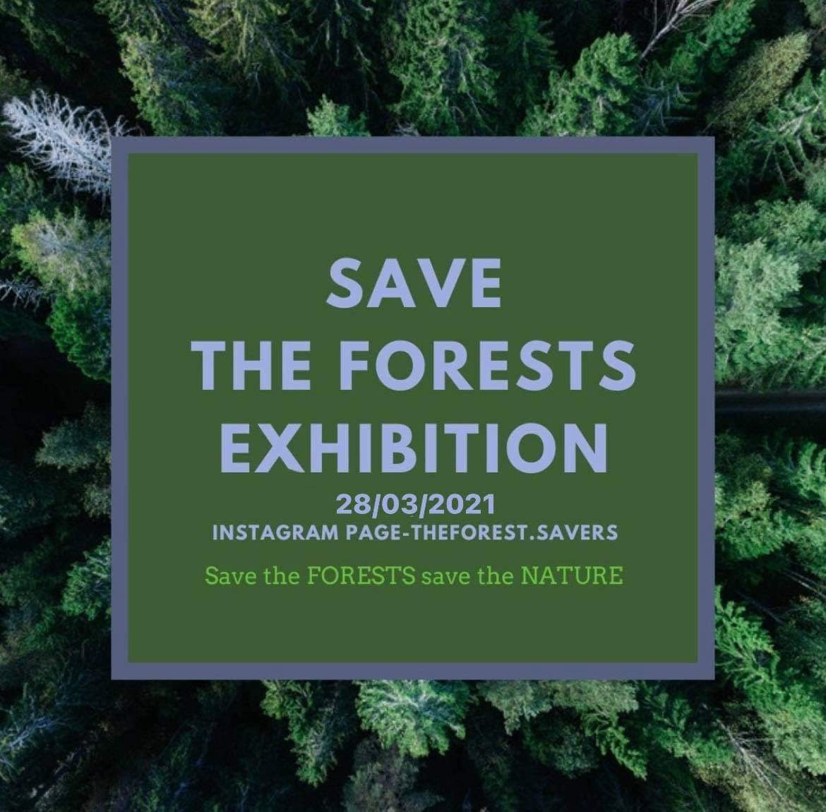 International Project – Az erdők világnapja