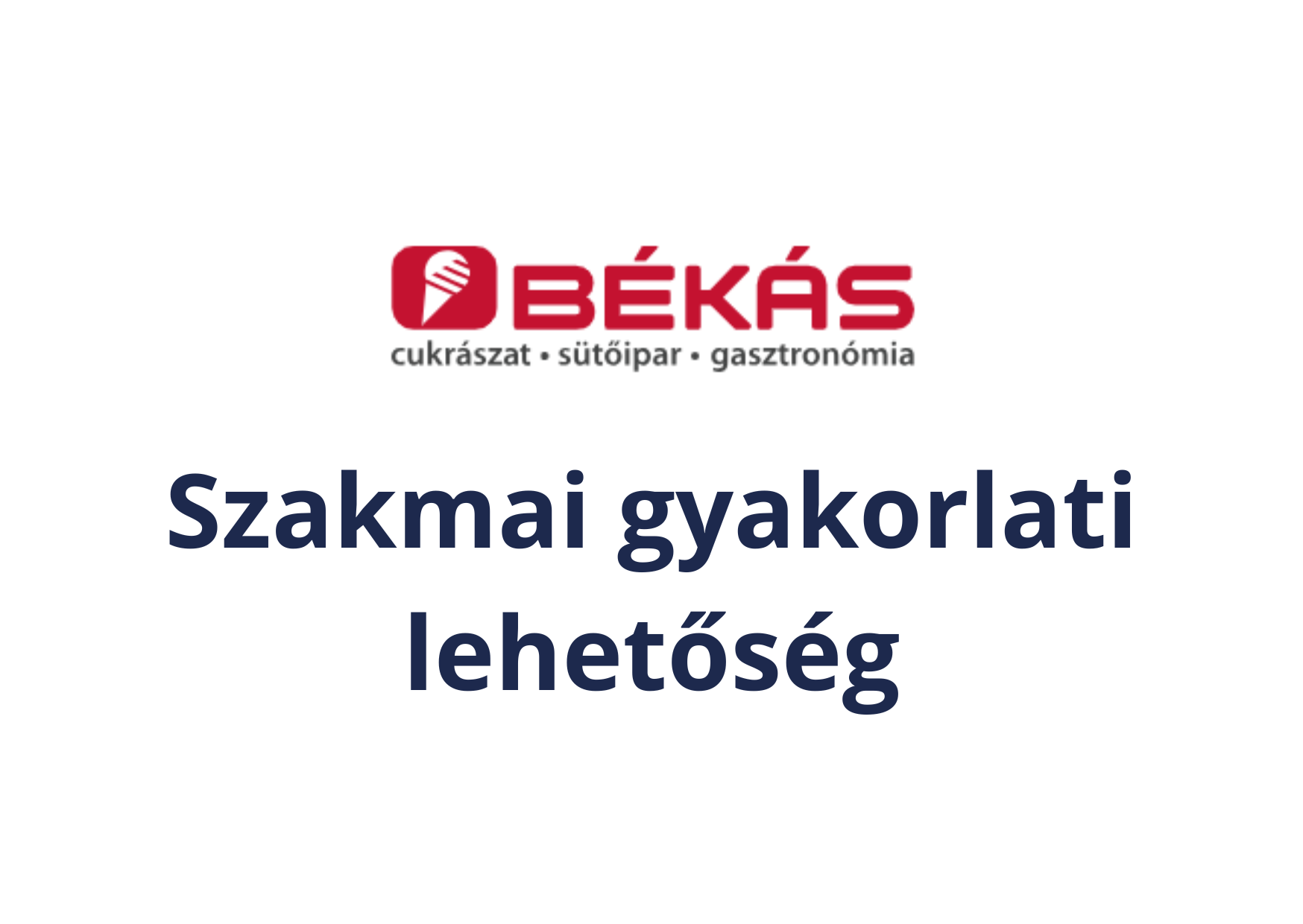 Szakmai gyakorlati lehetőség a Békás Kft-nél