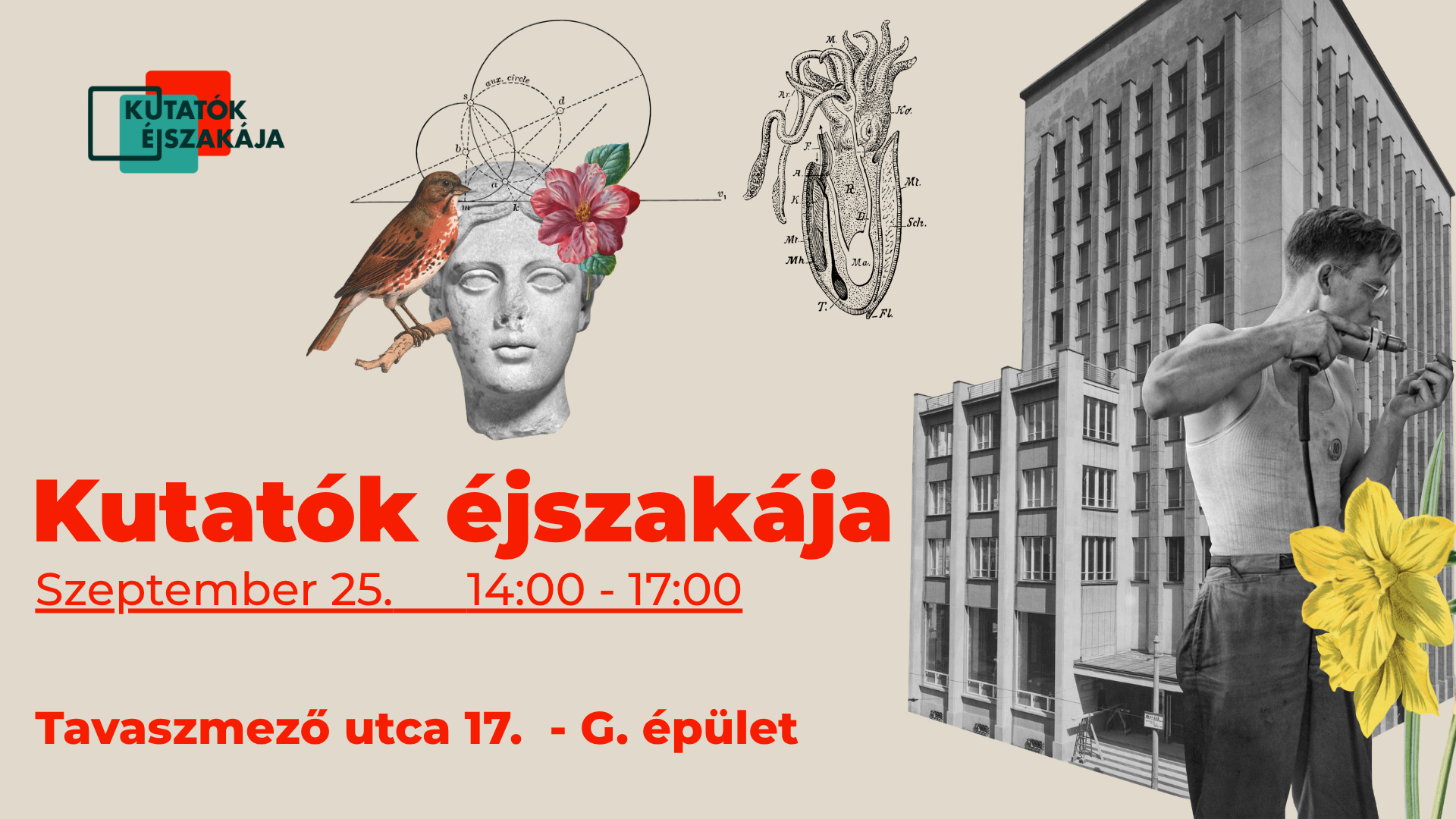 Ilyen volt a Kutatók Éjszakája 2026-ban a Keleti Károly Gazdasági Karon